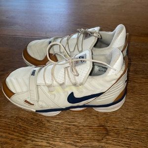 Nike Lebron XVI 16 Air Trainer Medicine Ball PS CJ6705 100